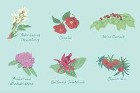 Also, any recommendations on attractive trellis options or tree stakes? 29 Best Shrubs For Shade Gardens