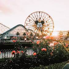 Here Comes The Sun Disney Park Mickeymouse Ferriswheel Disneyworld Disneyland Disneyland California Pictures Disneyworld Pictures Disney Photography