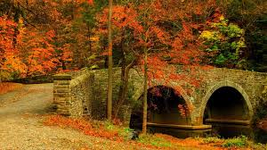 Choose from hundreds of free 2048x1152 wallpapers. Nature Road Leaves Trees Forest Park 2048 X 1152