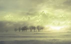 wallpaper sunlight landscape nature sky field sunrise evening morning mist horizon atmosphere dusk cloud fog weather dawn grassland plain 1920x1200 px prairie atmospheric phenomenon meteorological phenomenon 1920x1200 wallhere