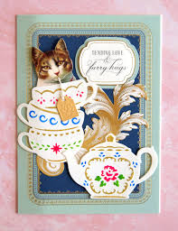 It's as important as your driver's license or social security card, so making sure it's on you at all times is a must. Fan Mail Friday Kitty Cat Cards Anna Griffin