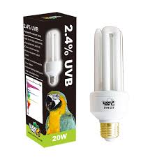 Bird Uva Uvb 2 4 Compact Fluorescent Lamp For Captive Parrot And Other Flying Pets Buy Uvb Reptile Light Bulb E26 Reptile Bulb Uvb Uva Reptile Lamp Product On Alibaba Com