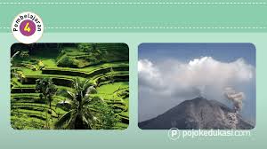 Pada hari minggu, warga di daerah tempat tinggal edo mengadakan kerja bakti. Kunci Jawaban Halaman 78 81 Tema 5 Kelas 5 Buku Belajar Halaman