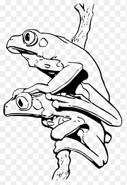 Maybe you would like to learn more about one of these? Blue Poison Dart Frog Coloring Book Strawberry Poison Dart Frog Yellow Banded Poison Dart Frog Frog White Animals Png Pngegg