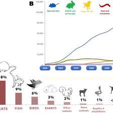 They only weigh about as much as a sheet of paper. Pdf Men And Mice Relating Their Ages