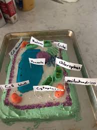 Ebook download hormones, signals and target cells in plant development (developmental and cell. O Xrhsths Cassie Makeeff Sto Twitter Learned Everything From Thekitchen To Make This Edible Cake Plant Cell Model Aka 5th Grade Science Project