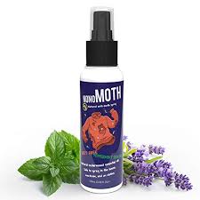 Bei amazon®, bekommst du solche sprays, die zwischen 6 und 20 euro kosten. Kleidermotten Bekampfen Die Besten Tipps Und Hausmittel