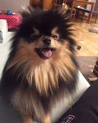 Pin On Serefsiz Yeontan