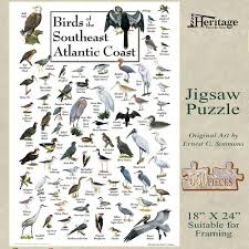 Birds Of Eastern North America Puzzle Birds Of The Southeast Atlantic Coast Jigsaw Puzzle North Carolina Games Jigsaw Puzzles Coast Southeast
