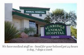 The bond between humans and animals is nothing new. Sunridge Animal Hospital 10850 South Eastern Avenue Henderson Reviews And Appointments Topvet