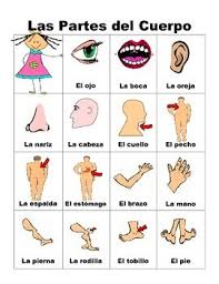 Pin On Espanol