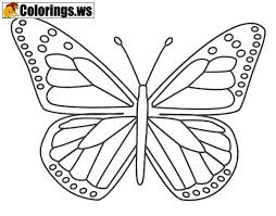Mar 14, 2021 · at long last cat lovers and cat owners can enjoy these brand new playful and fun cat coloring pages that you can download and print for free. Easy Cute Butterfly Coloring Pages Coloring And Drawing
