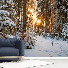 We did not find results for: Winter Wonderland Wallpaper Wallsauce De