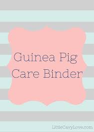 Pin On Piggys