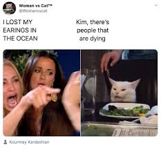 Best Woman Yelling At Cat Memes 28 Of The Funniest Examples Ever