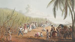 Indians arrived in the Caribbean ...