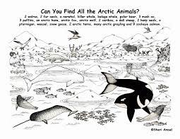 Wolves are nocturnal animals that live on the continents of asia, america, europe and north africa. Arctic Coloring Page Coloring Home
