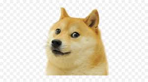 T roblox character roblox level 7 exploit free download png ima! Le Transparent Doge Template Has Arrived Dogelore Dog Meme Sticker Png Roblox Template Transparent Free Transparent Png Images Pngaaa Com