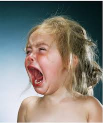 Jill Greenberg: Lightning Rod