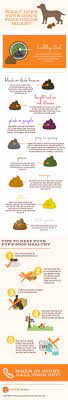 What Does Dog Poop Color Mean Caninejournal Com