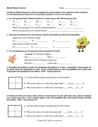 Create a punnett square to show the possibilities that would result if spongebob and spongesusie had children. Homozygous Heterozygous Lesson Plans Worksheets