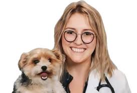 Emergency Vet Torrance, CA