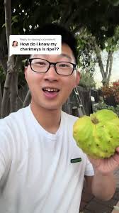 Cherimoya Ripe