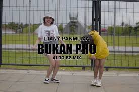 From archive.org sa pamit pulang (official video musik). Viral Di Tiktok Ini Lirik Lagu Bukan Pho Dari Liany Panmuma Feat Aldo Bz