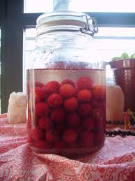 Licor De Madrono Liqueur From Strawberry Tree Fruits Arbutus Unedo Love The Tree But I Have Never Tasted The Fruits Fresh Fruit Drinks Fruit Fruit Drinks