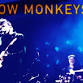 The Blow Monkeys event image