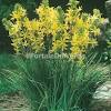 #natura morta #natura morente #broadwalk graveyard. Https Encrypted Tbn0 Gstatic Com Images Q Tbn And9gcq5yb5 Ufy9rmrzyfj5l8bsgibfxrdbh Y G82mphitmbv Fxah Usqp Cau