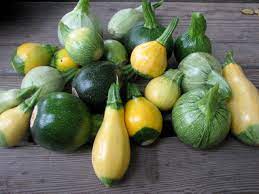 When selecting summer squash for relish, choose firm young fruit without blemishes, soft spots, or wrinkled skin. Round Zucchini