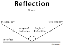 Image result for reflection