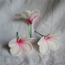 They will add a bit of the tropics to any wedding bouquet. Frangipani Plumeria Pu Artificial Flowers Calla Real Touch Pink Wedding Bouquets Centerpieces Bridal Bouquet Blush Pink 20pcs Artificial Dried Flowers Aliexpress