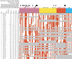 White coloring is caused by the double recessive genotype, aa. The Genetic Structure Of Recombinant Inbred Mice High Resolution Consensus Maps For Complex Trait Analysis Springerlink