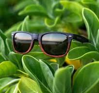 Classic Timber - Dual Timber Polarized - ORIGINAL / Standard