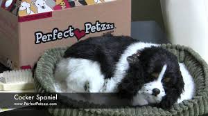 You can purchase them here on amazon: Perfect Petzzz Cocker Spaniel Youtube