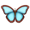 Maybe you would like to learn more about one of these? Butterfly Emoji