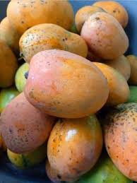 It'S Mango Season! How Well Do You Know Your Mangoes?