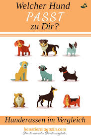 hunderassen hunde rassen hunderassen hunde