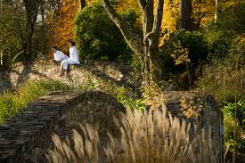 Mary reynolds is an irish gardener, landscape designer, author and public activist, known for being the youngest contestant to win a gold me. Monart Mary Reynolds Reformed Landscape Designer