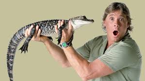 Crikey! Steve Irwin's zoo crippled by debt | The Australian