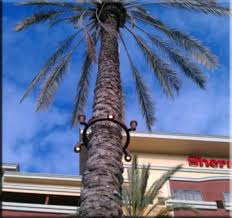 Pin On Lighting Landscape