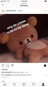 Pin By Fani On Funny Cute Memes Funny Teddy Teddy Bear