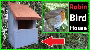Image result for Flyte Blackbird Nest Box
