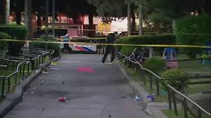 Police responded to a call at bergamot avenue, near islington avenue and rexdale boulevard, just before 11 pm, according to. G0mjql5bk1zehm