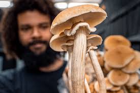 BIPOC Owned Businesses In Scottsdale