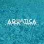 Aquatica Swimming Pool Solutions from m.yelp.com