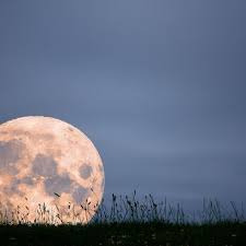 Check spelling or type a new query. Strawberry Moon Diese Wirkung Hat Der Vollmond Heute Auf Dein Sternzeichen Bunte De