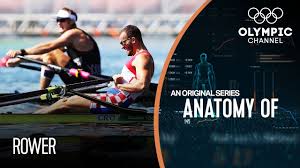 Maybe you would like to learn more about one of these? Anatomy Of A Rower Do They Have The Strongest Legs Of Any Olympic Athlete Youtube